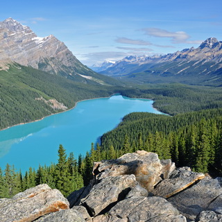 Banff NP - Peyto Lake